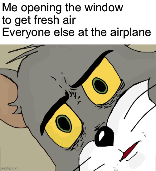Oh man | Me opening the window to get fresh air
Everyone else at the airplane | image tagged in memes,unsettled tom | made w/ Imgflip meme maker