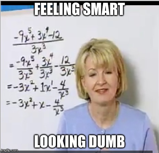 FEELING SMART; LOOKING DUMB | image tagged in memes | made w/ Imgflip meme maker