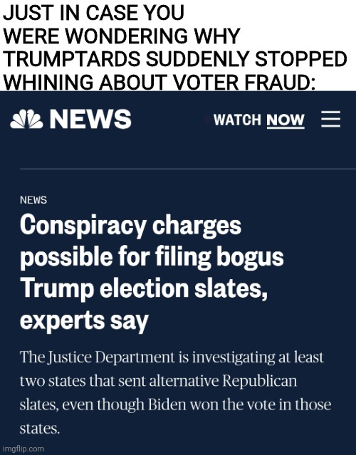 As usual, they've just been projecting this whole time | JUST IN CASE YOU WERE WONDERING WHY TRUMPTARDS SUDDENLY STOPPED WHINING ABOUT VOTER FRAUD: | image tagged in terrorists,scumbag republicans,conservative hypocrisy | made w/ Imgflip meme maker