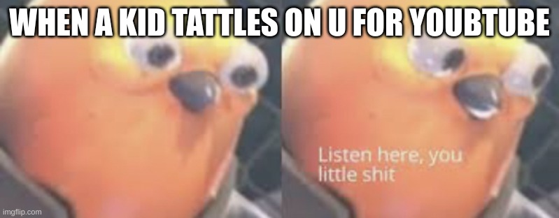 angery | WHEN A KID TATTLES ON U FOR YOUBTUBE | image tagged in listen here you little shit bird | made w/ Imgflip meme maker