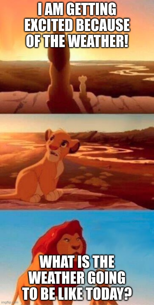 Lion King | I AM GETTING EXCITED BECAUSE OF THE WEATHER! WHAT IS THE WEATHER GOING TO BE LIKE TODAY? | image tagged in lion king | made w/ Imgflip meme maker