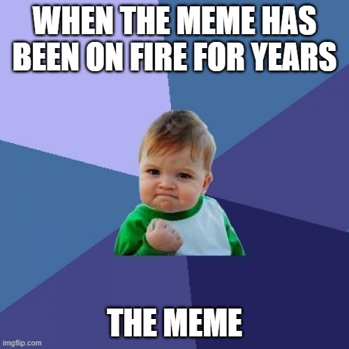 The one meme | WHEN THE MEME HAS BEEN ON FIRE FOR YEARS; THE MEME | image tagged in memes,success kid | made w/ Imgflip meme maker