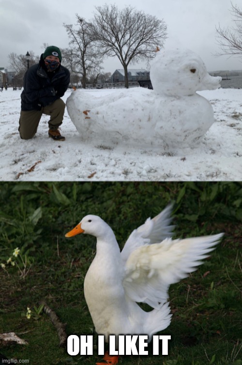 DUCK SNOWMAN | OH I LIKE IT | image tagged in ducks,duck,snowman,winter | made w/ Imgflip meme maker