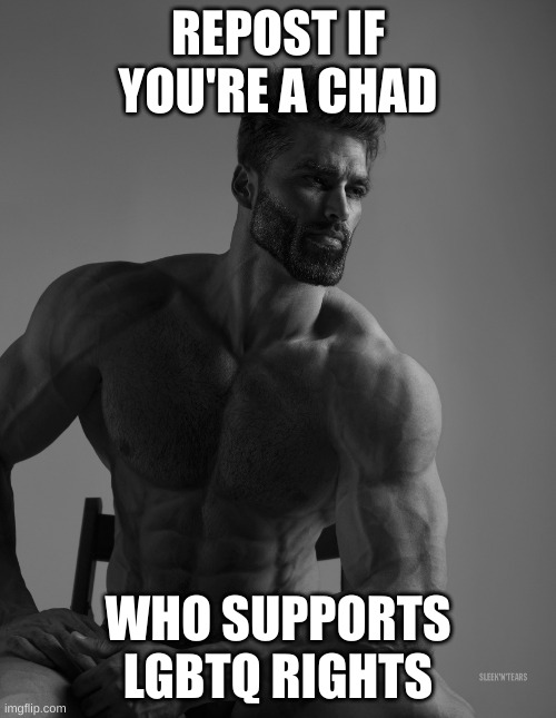 Support LGBTQ rights | REPOST IF YOU'RE A CHAD; WHO SUPPORTS LGBTQ RIGHTS | image tagged in giga chad | made w/ Imgflip meme maker