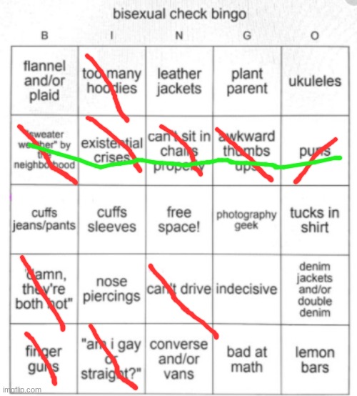 Bisexual Bingo | image tagged in bisexual bingo | made w/ Imgflip meme maker