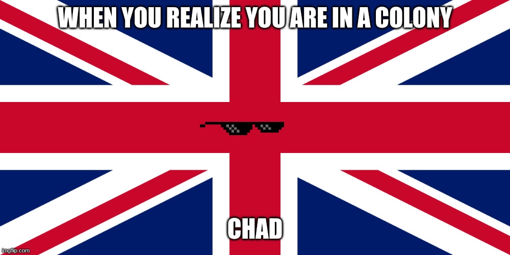 Colonys | WHEN YOU REALIZE YOU ARE IN A COLONY; CHAD | image tagged in history memes | made w/ Imgflip meme maker