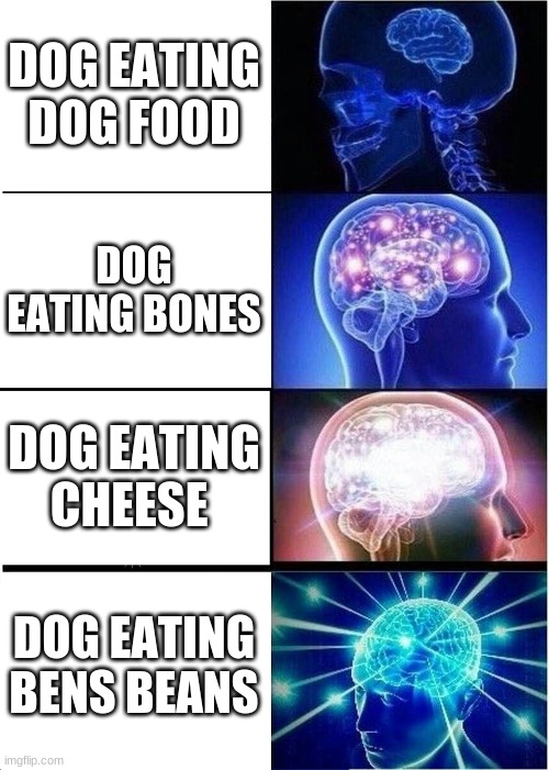 DOG EATING DOG FOOD DOG EATING BONES DOG EATING CHEESE DOG EATING BENS BEANS | image tagged in memes,expanding brain | made w/ Imgflip meme maker