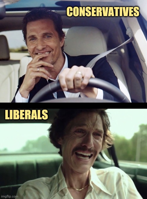 I'm too sane to be a liberal. | CONSERVATIVES; LIBERALS | image tagged in matthew mcconaughey | made w/ Imgflip meme maker