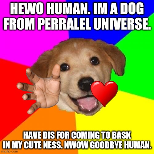 cute doge wants to gwive love to you |  HEWO HUMAN. IM A DOG FROM PERRALEL UNIVERSE. HAVE DIS FOR COMING TO BASK IN MY CUTE NESS. NWOW GOODBYE HUMAN. | image tagged in memes,advice dog | made w/ Imgflip meme maker