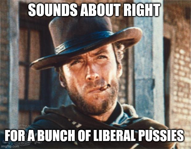 Clint Eastwood | SOUNDS ABOUT RIGHT FOR A BUNCH OF LIBERAL PUSSIES | image tagged in clint eastwood | made w/ Imgflip meme maker