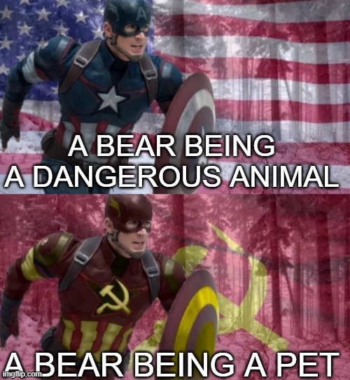 Bears in USA and USSR | A BEAR BEING A DANGEROUS ANIMAL; A BEAR BEING A PET | image tagged in captain america vs captain ussr | made w/ Imgflip meme maker