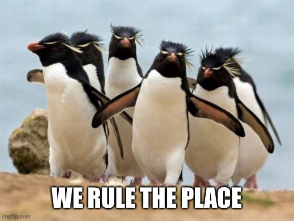 Penguin Gang Meme | WE RULE THE PLACE | image tagged in memes,penguin gang | made w/ Imgflip meme maker
