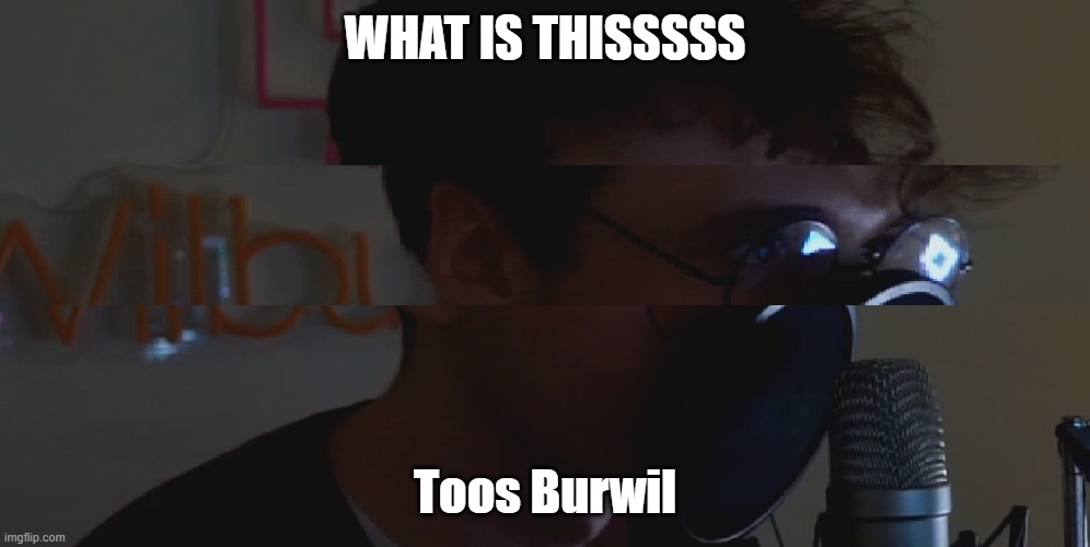 *Squeaking noises* | WHAT IS THISSSSS; Toos Burwil | image tagged in wilbur soot | made w/ Imgflip meme maker