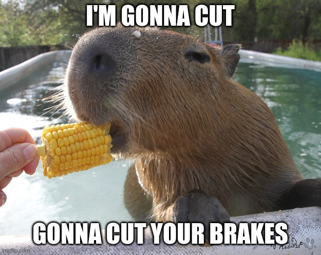 :} | I'M GONNA CUT; GONNA CUT YOUR BRAKES | image tagged in capybara eats corn | made w/ Imgflip meme maker