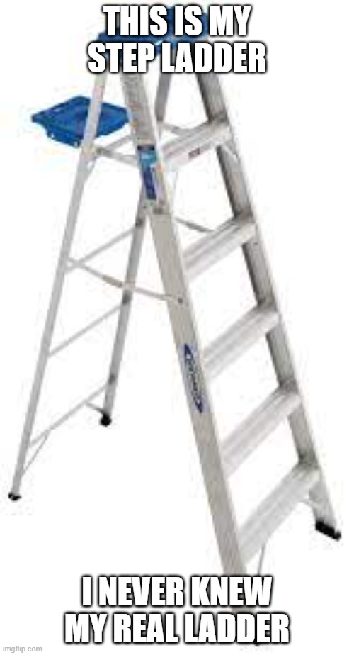 100 upvotes for more dad jokes | THIS IS MY STEP LADDER; I NEVER KNEW MY REAL LADDER | image tagged in dad joke,ladder | made w/ Imgflip meme maker