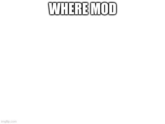 where mod | WHERE MOD | image tagged in blank white template | made w/ Imgflip meme maker