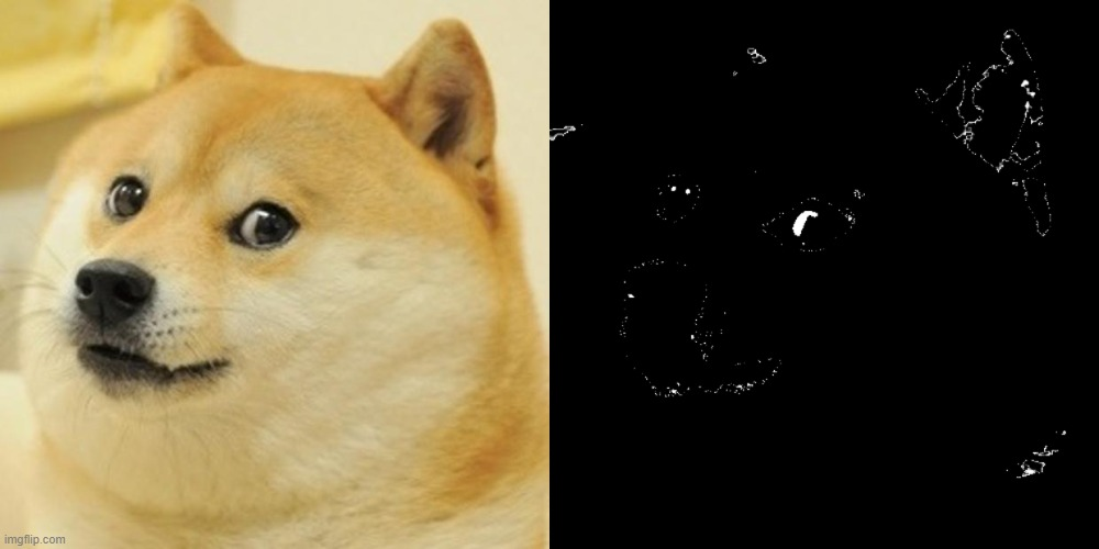 Doge becomes uncanny Blank Meme Template