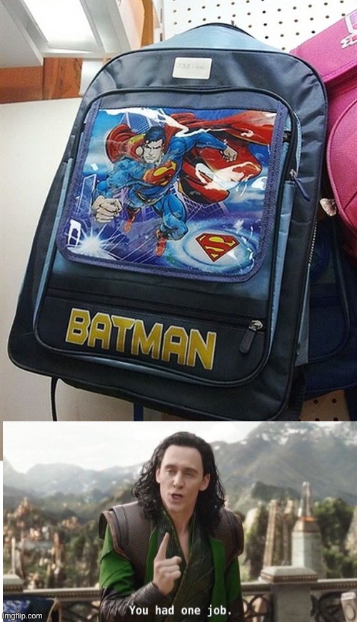 You had one job!!! | image tagged in you had one job | made w/ Imgflip meme maker