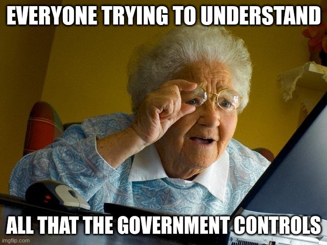 Grandma Finds The Internet | EVERYONE TRYING TO UNDERSTAND; ALL THAT THE GOVERNMENT CONTROLS | image tagged in memes,grandma finds the internet | made w/ Imgflip meme maker