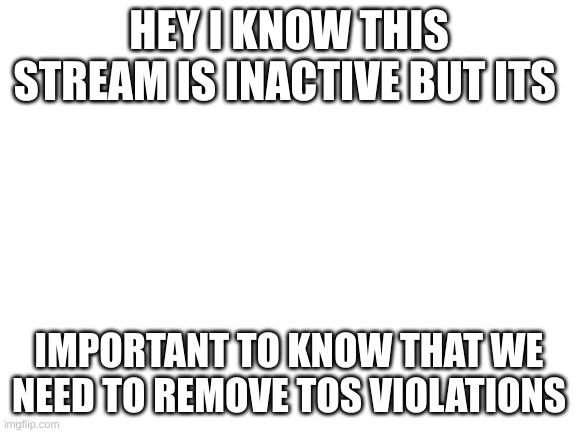 Blank White Template | HEY I KNOW THIS STREAM IS INACTIVE BUT ITS; IMPORTANT TO KNOW THAT WE NEED TO REMOVE TOS VIOLATIONS | image tagged in blank white template | made w/ Imgflip meme maker