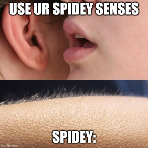 SPIDEY |  USE UR SPIDEY SENSES; SPIDEY: | image tagged in whisper and goosebumps | made w/ Imgflip meme maker