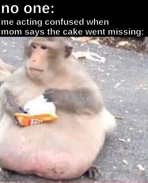 hehe |  no one:; me acting confused when mom says the cake went missing: | image tagged in memes,monkey,thicc | made w/ Imgflip meme maker