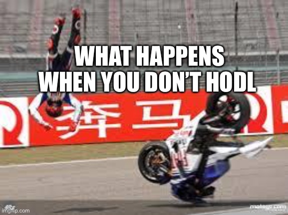 Not a HODLer | WHAT HAPPENS WHEN YOU DON’T HODL | image tagged in bike fail,hodl,crypto | made w/ Imgflip meme maker
