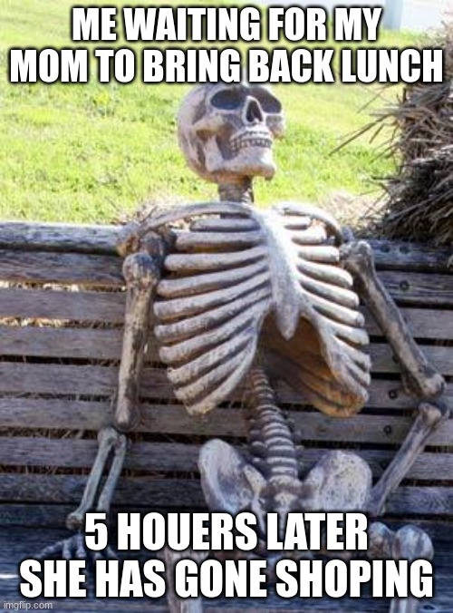 LIFE | ME WAITING FOR MY MOM TO BRING BACK LUNCH; 5 HOUERS LATER SHE HAS GONE SHOPING | image tagged in memes,waiting skeleton | made w/ Imgflip meme maker