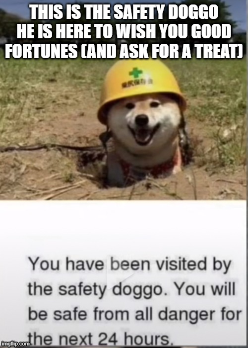 JUST GIVE HIM A TREAT | THIS IS THE SAFETY DOGGO HE IS HERE TO WISH YOU GOOD FORTUNES (AND ASK FOR A TREAT) | image tagged in you have been visited by the safety doggo | made w/ Imgflip meme maker