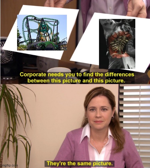 They're The Same Picture Meme | image tagged in memes,they're the same picture,rollercoaster | made w/ Imgflip meme maker