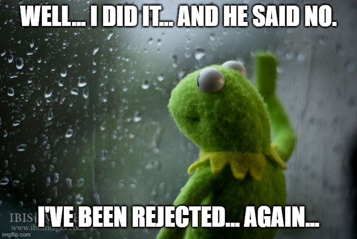 i guess it just wasn't meant to be... then again... what do i know of love... | WELL... I DID IT... AND HE SAID NO. I'VE BEEN REJECTED... AGAIN... | image tagged in kermit window | made w/ Imgflip meme maker