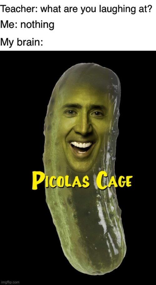 Picolas Cage | image tagged in teacher what are you laughing at,reposts,repost,pickle,nicolas cage,memes | made w/ Imgflip meme maker