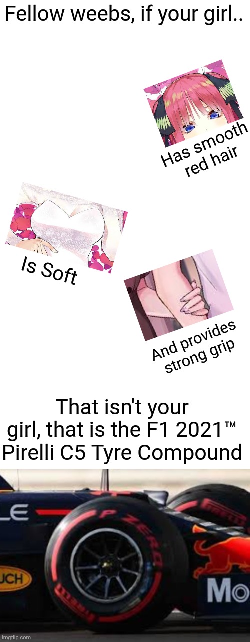 world champ | Fellow weebs, if your girl.. Has smooth red hair; Is Soft; And provides strong grip; That isn't your girl, that is the F1 2021™ Pirelli C5 Tyre Compound | image tagged in world champ | made w/ Imgflip meme maker