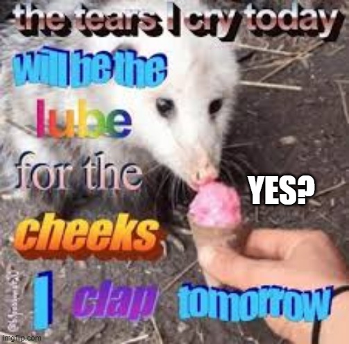 yes? | YES? | image tagged in opossum today | made w/ Imgflip meme maker