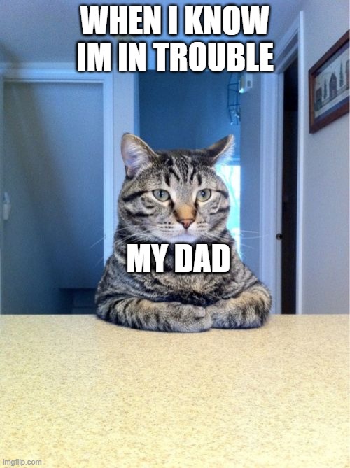 Cat trouble | WHEN I KNOW IM IN TROUBLE; MY DAD | image tagged in memes,take a seat cat | made w/ Imgflip meme maker