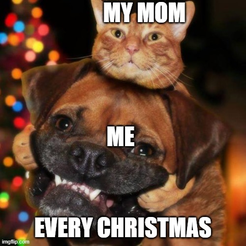 Christmas | MY MOM; ME; EVERY CHRISTMAS | image tagged in dogs an cats,blank transparent square,parents,parents troubles | made w/ Imgflip meme maker
