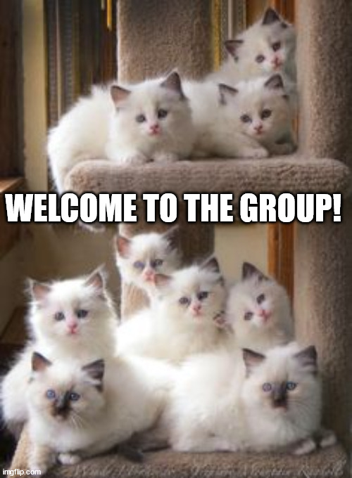 WELCOME TO THE GROUP! | made w/ Imgflip meme maker