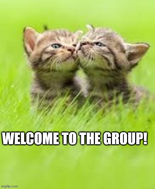 WELCOME TO THE GROUP! | made w/ Imgflip meme maker