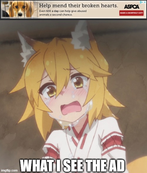 Sad dog donation ads in weeb perception | WHAT I SEE THE AD | image tagged in press f to pay respects | made w/ Imgflip meme maker
