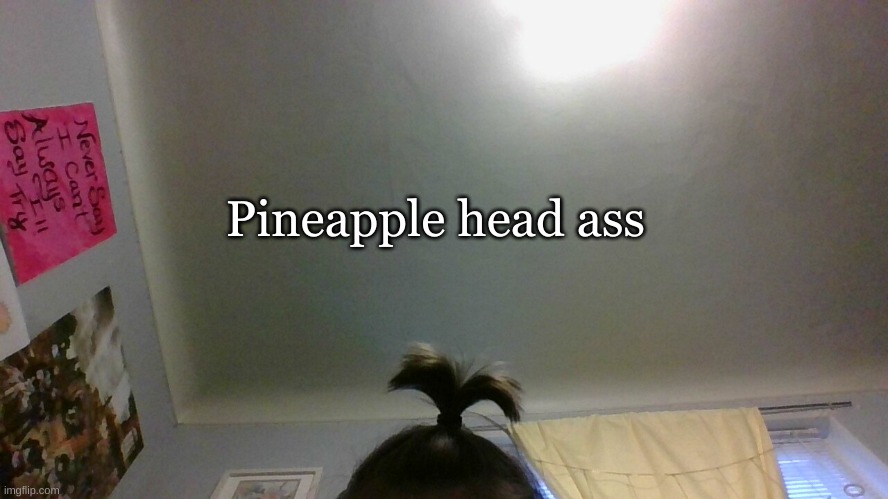 Pineapple head ass | made w/ Imgflip meme maker