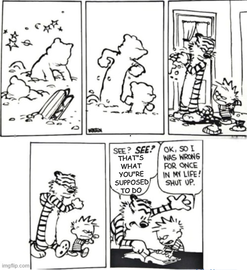 THAT"S WHAT YOU"RE SUPPOSED TO DO | image tagged in you had one job calvin and hobbes | made w/ Imgflip meme maker