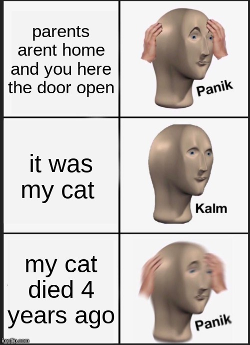 Panik Kalm Panik | parents arent home and you here the door open; it was my cat; my cat died 4 years ago | image tagged in memes,panik kalm panik | made w/ Imgflip meme maker