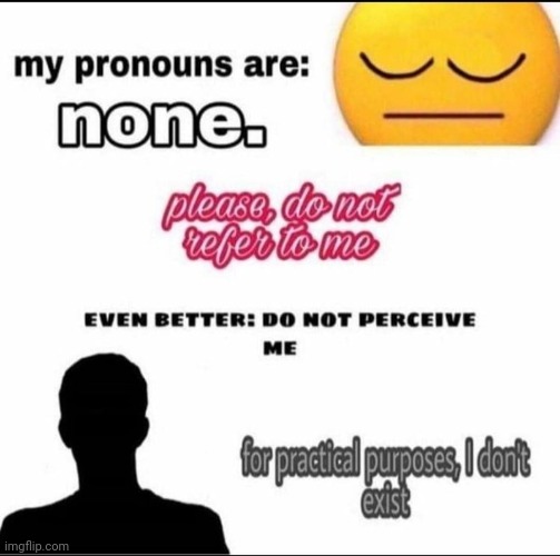 image tagged in pronouns | made w/ Imgflip meme maker