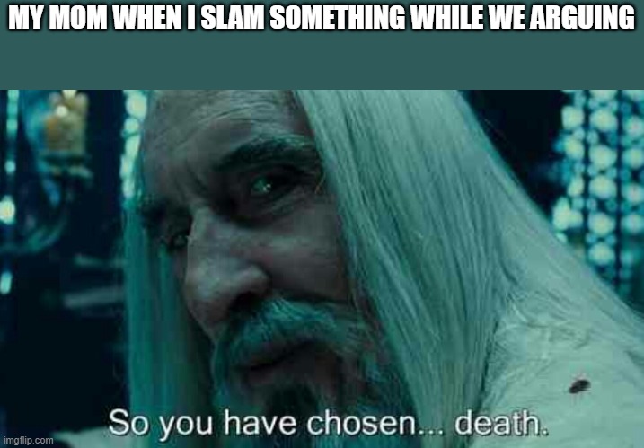 So you have chosen death | MY MOM WHEN I SLAM SOMETHING WHILE WE ARGUING | image tagged in so you have chosen death | made w/ Imgflip meme maker