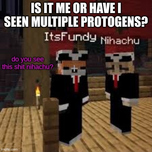 Do you see this Nihachu | IS IT ME OR HAVE I SEEN MULTIPLE PROTOGENS? | image tagged in do you see this nihachu | made w/ Imgflip meme maker