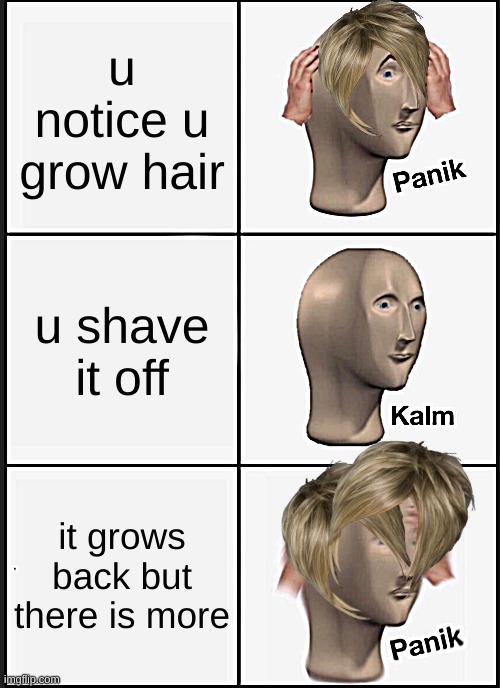 Panik Kalm Panik Meme | u notice u grow hair; u shave it off; it grows back but there is more | image tagged in memes,panik kalm panik | made w/ Imgflip meme maker