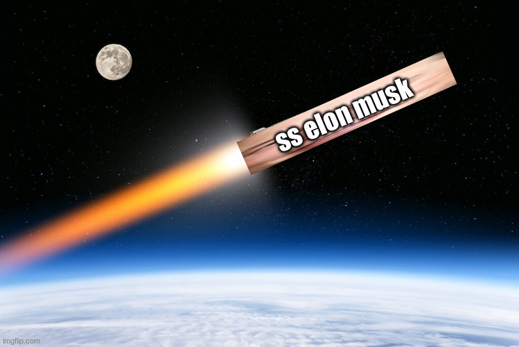 ss elon musk | ss elon musk | image tagged in elon musk | made w/ Imgflip meme maker