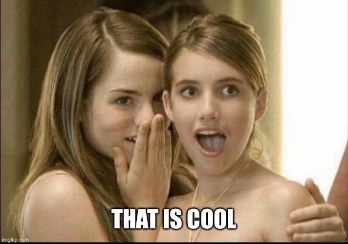 Girls whispering | THAT IS COOL | image tagged in girls whispering | made w/ Imgflip meme maker