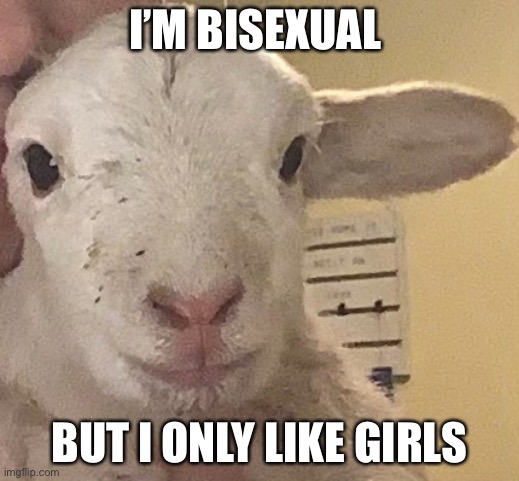 I’m bi but only like women(I’m a guy) | I’M BISEXUAL; BUT I ONLY LIKE GIRLS | image tagged in bisexual | made w/ Imgflip meme maker