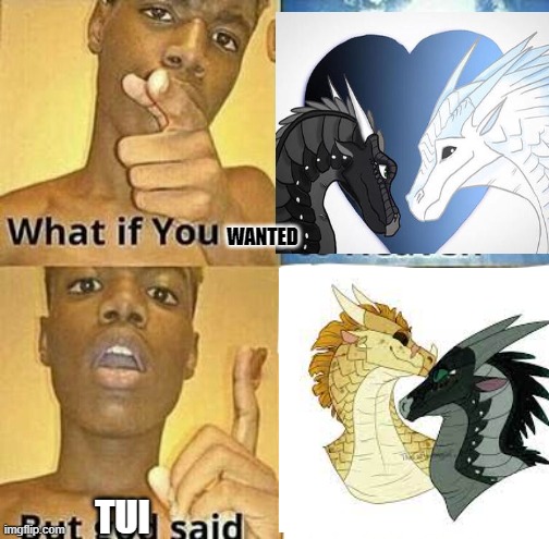 WHY TUI!!!! WHYYYYYYYYYYYYYYYYYYYYYYYY | WANTED; TUI | image tagged in what if you wanted to go to heaven,wings of fire,memes,winterwatcher | made w/ Imgflip meme maker